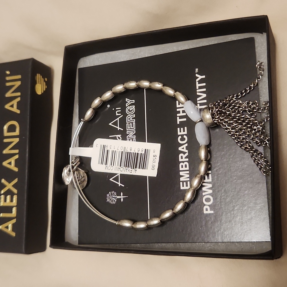 Alex and Ani artist's palette bracelet cloud rafaelian silver
